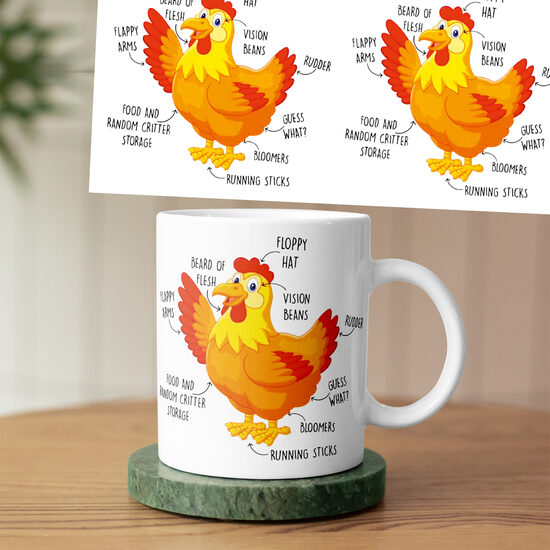 Mūsu mīļuļi - kaķi suņi vistas utml.